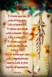 1904027_10152286065676136_250897682097369757_n