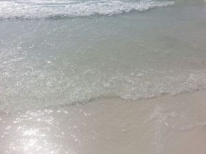 Happy Earth Day! I love witnessing the beauty the earth has to offer!